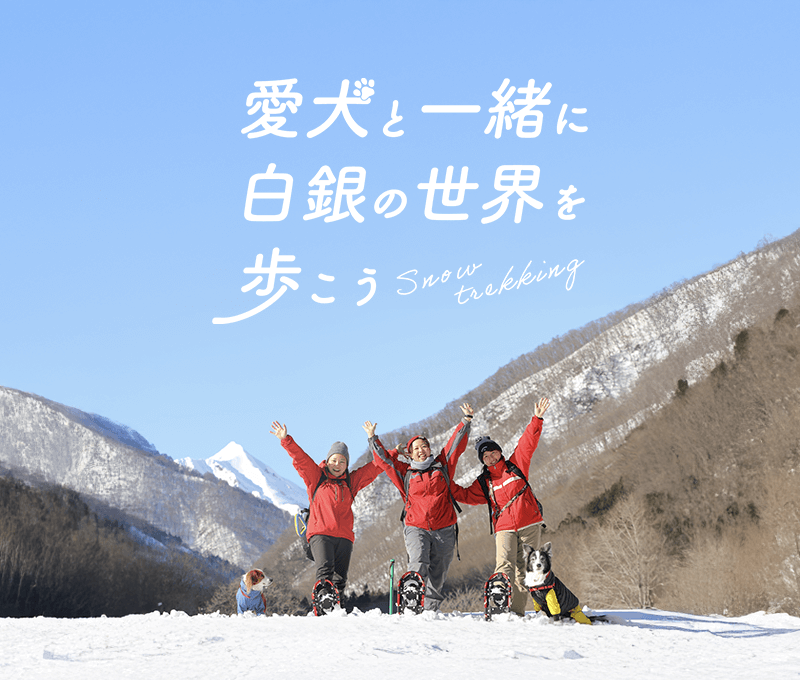 �����ƈꏏ�ɔ���̐��E�������